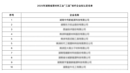 湖南CA88官方网站新能源获评湖南省原资料工业“三品”标杆企业以创新赋能高质量发展